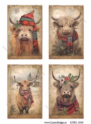 LDKL-1018 Klippark Jul kossor