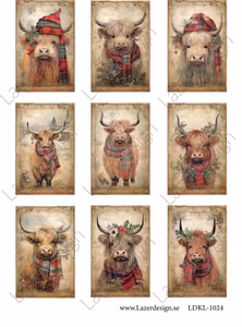 LDKL-1024 Klippark Jul kossor