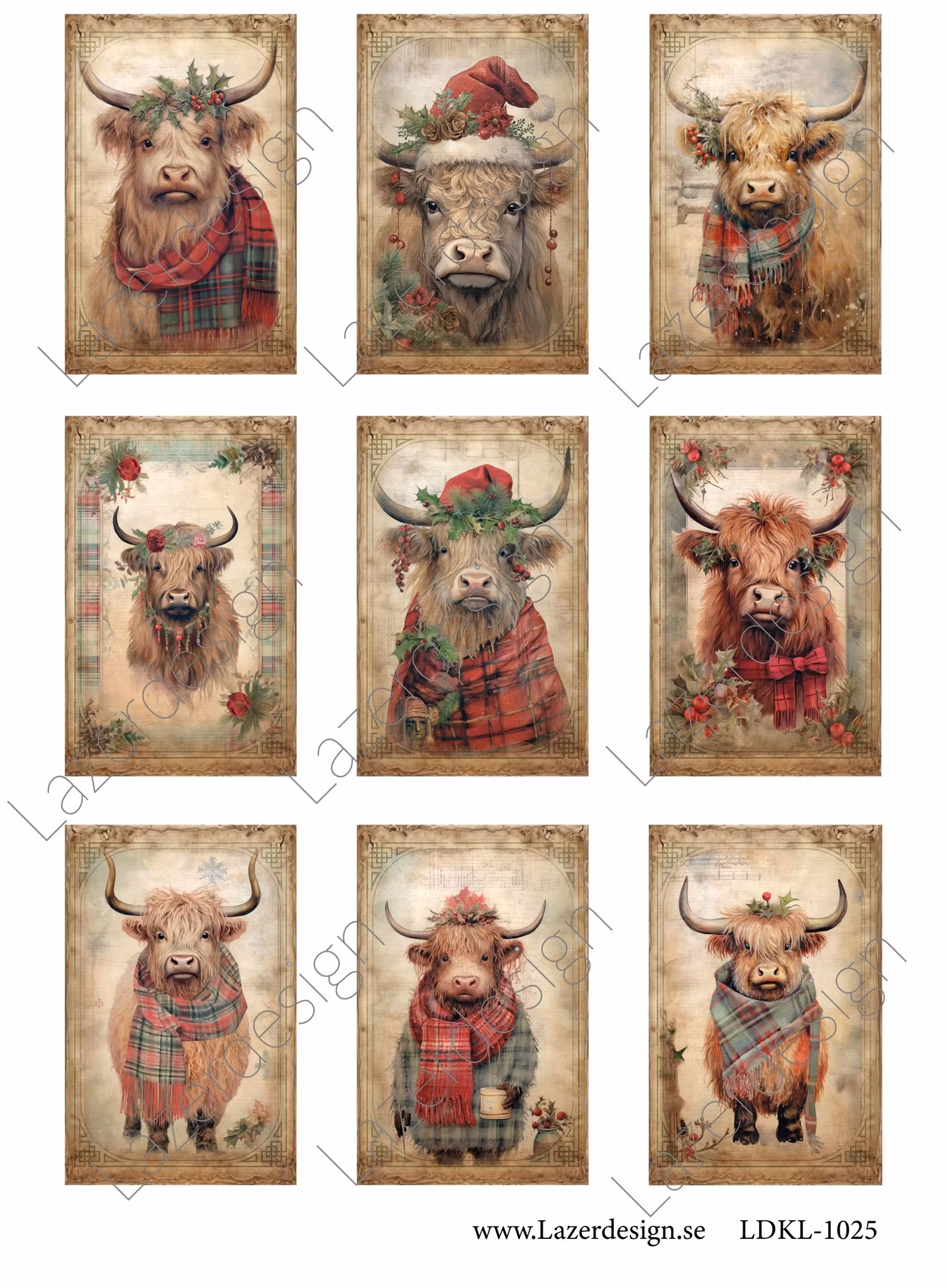 LDKL-1025 Klippark Jul kossor