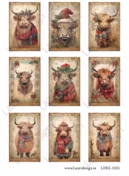 LDKL-1025 Klippark Jul kossor