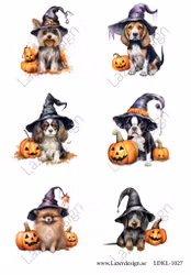 LDKL-1027 Klippark Hundar Halloween