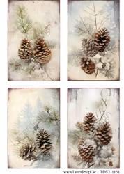 LDKL-1151 Klippark Jul