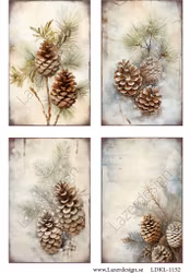 LDKL-1152 Klippark Jul