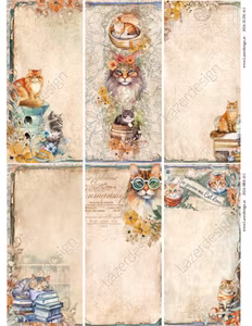 2024-SLIM-411 Katter