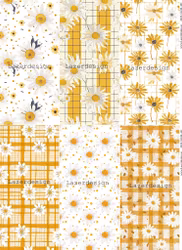 2025-SLIM-431Prästkrage