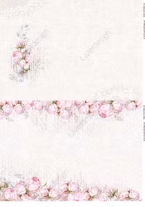 2025-JUNK-24 Rosa Rosor