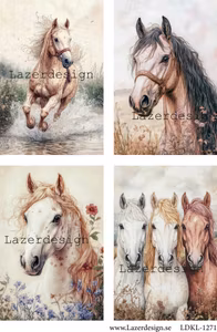 LDKL-1271 Klippark Hästar