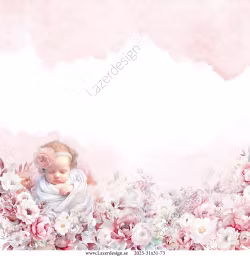 2025-31X31-73 Rosa Baby