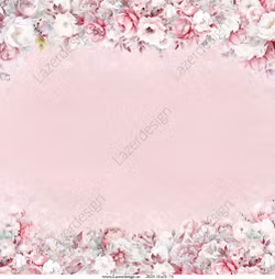 2025-31X31-74 Rosa Baby