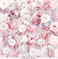 2025-31X31-75 Rosa Baby