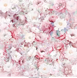 2025-31X31-75 Rosa Baby