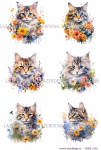 LDKL-1316 Klippark Katter