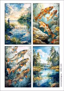 LDKL-1433 Klippark Fiske