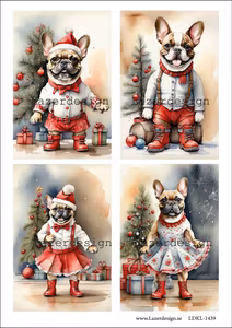 LDKL-1439 Klippark Hundar firar Jul!