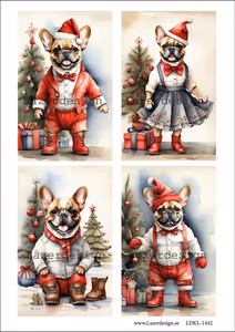 LDKL-1442 Klippark Hundar firar Jul!