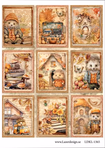 LDKL-1365 Klippark Igelkottar