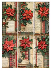 2025-SLIM-450 Julblommor