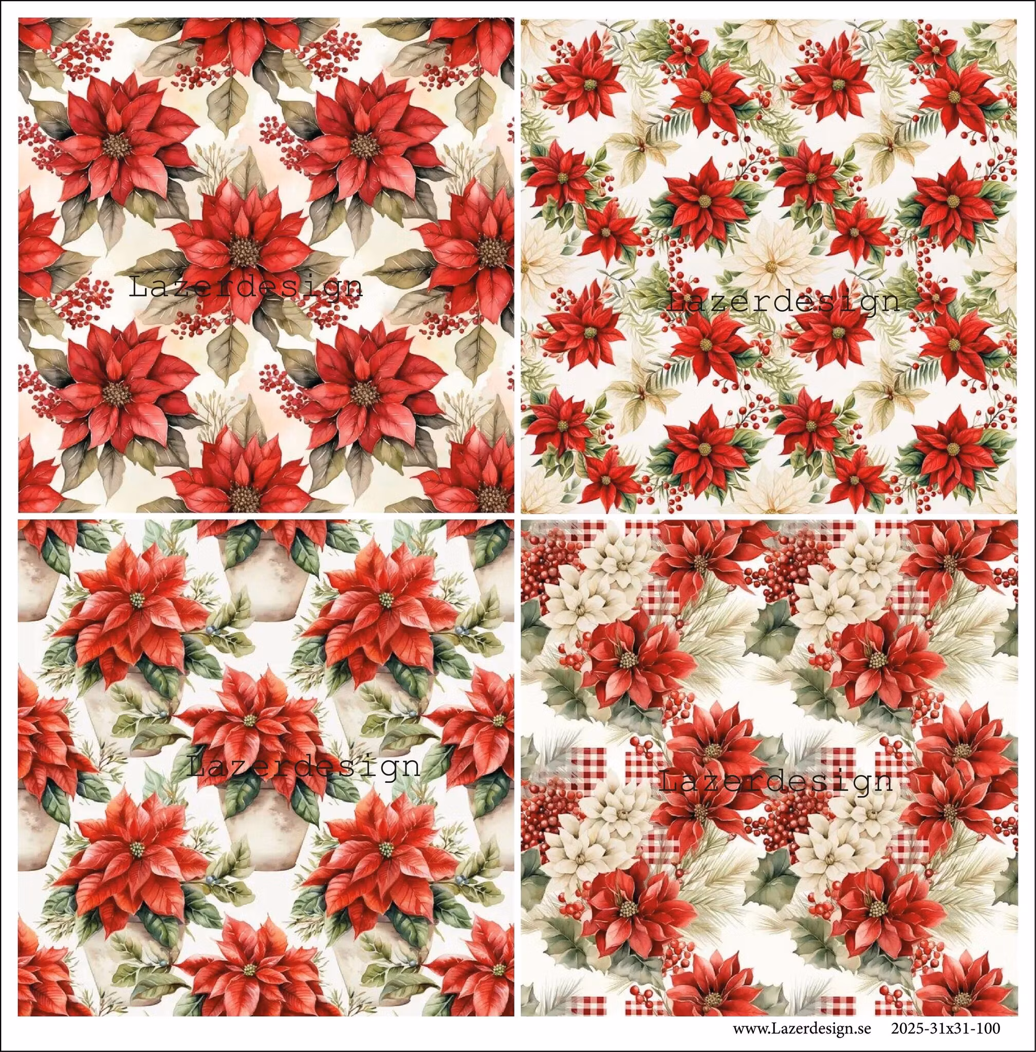 2025-31x31-100 Julblommor