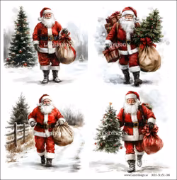 2025-31x31-106 Jultomten