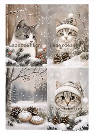 LDKL-1597 Klippark Vinter-Jul katter