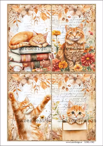 LDKL-1582 Klippark Höst Katter