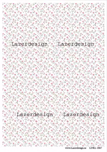 LDKL-1867 Rosa baby mm