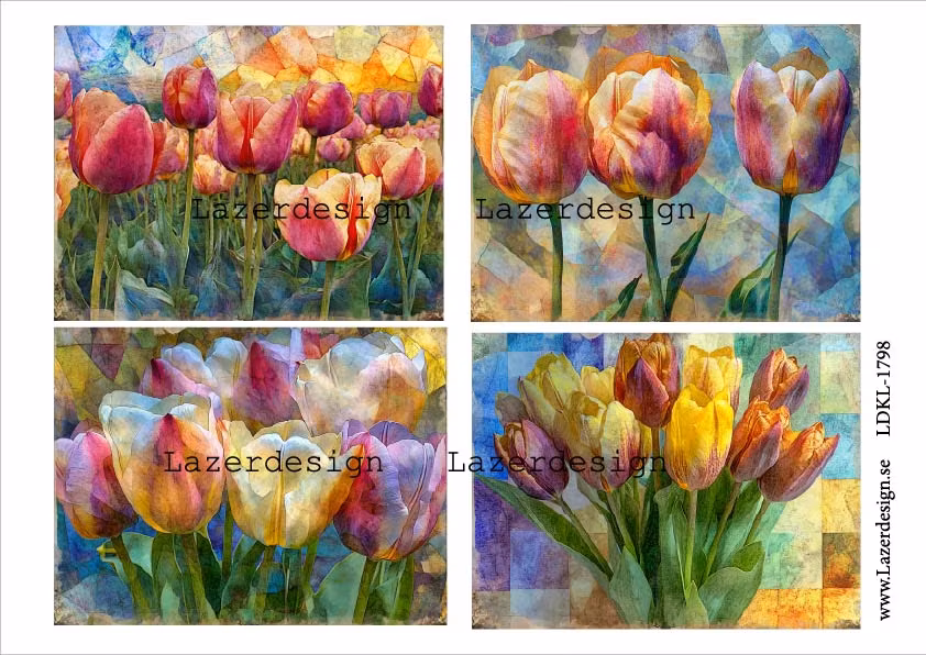 LDKL-1798 Tulpaner