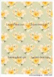 LDKL-1839 Klippark Påskblommor