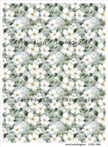 LDKL-1884 Bakgrund grön vita blommor