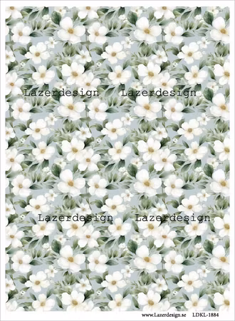 LDKL-1884 Bakgrund grön vita blommor