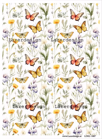LDKL-1887 Bakgrund blommor  fjärilar
