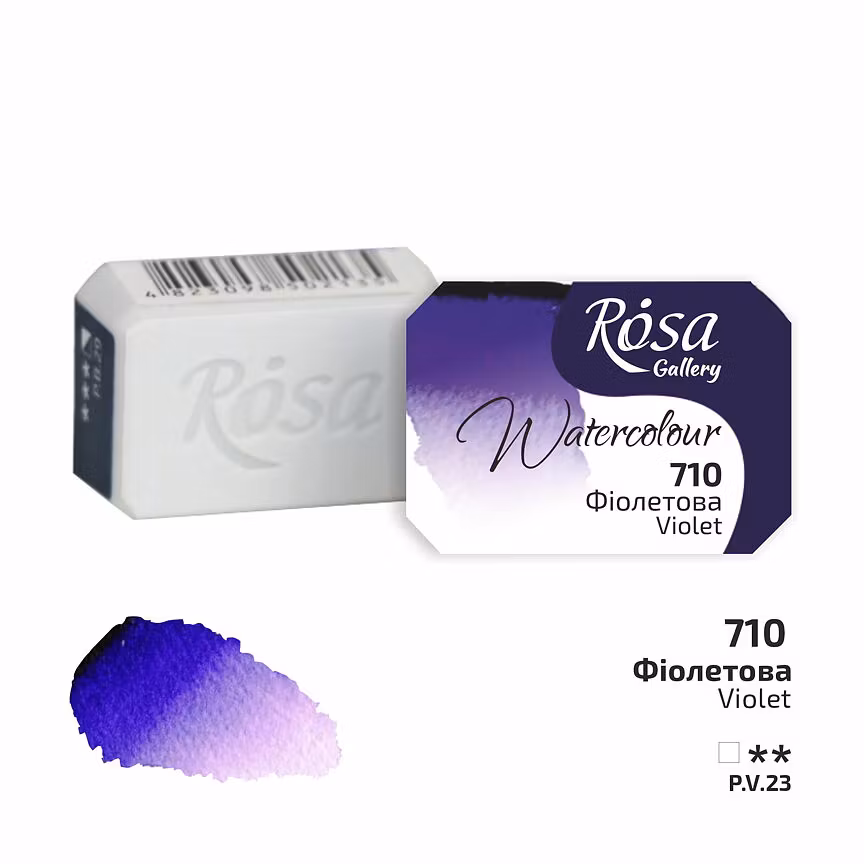 710-Violet Rosa Gallery Watercolor