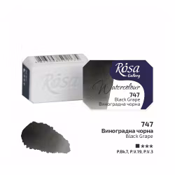 747-Black Grape-Rosa Gallery Watercolor