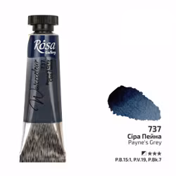 737-Tub Paynés Grey-Rosa Gallery Watercolor