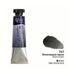 747-Tub Black Grape-Rosa Gallery Watercolor
