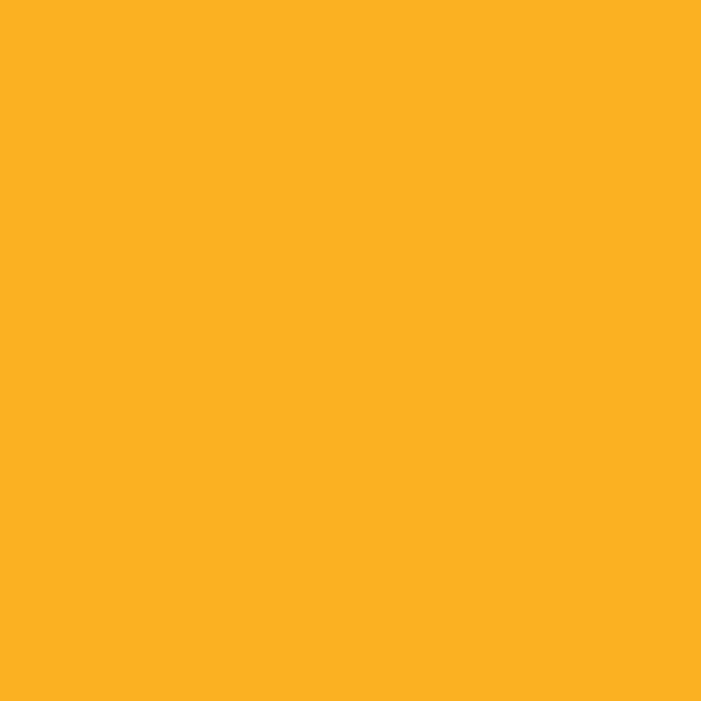 006-Cadence Acryl Pro Art Light Orange