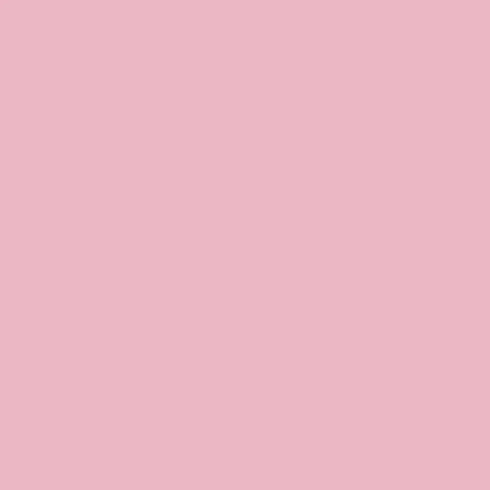 008-Cadence Acryl Pro Art Light Rose