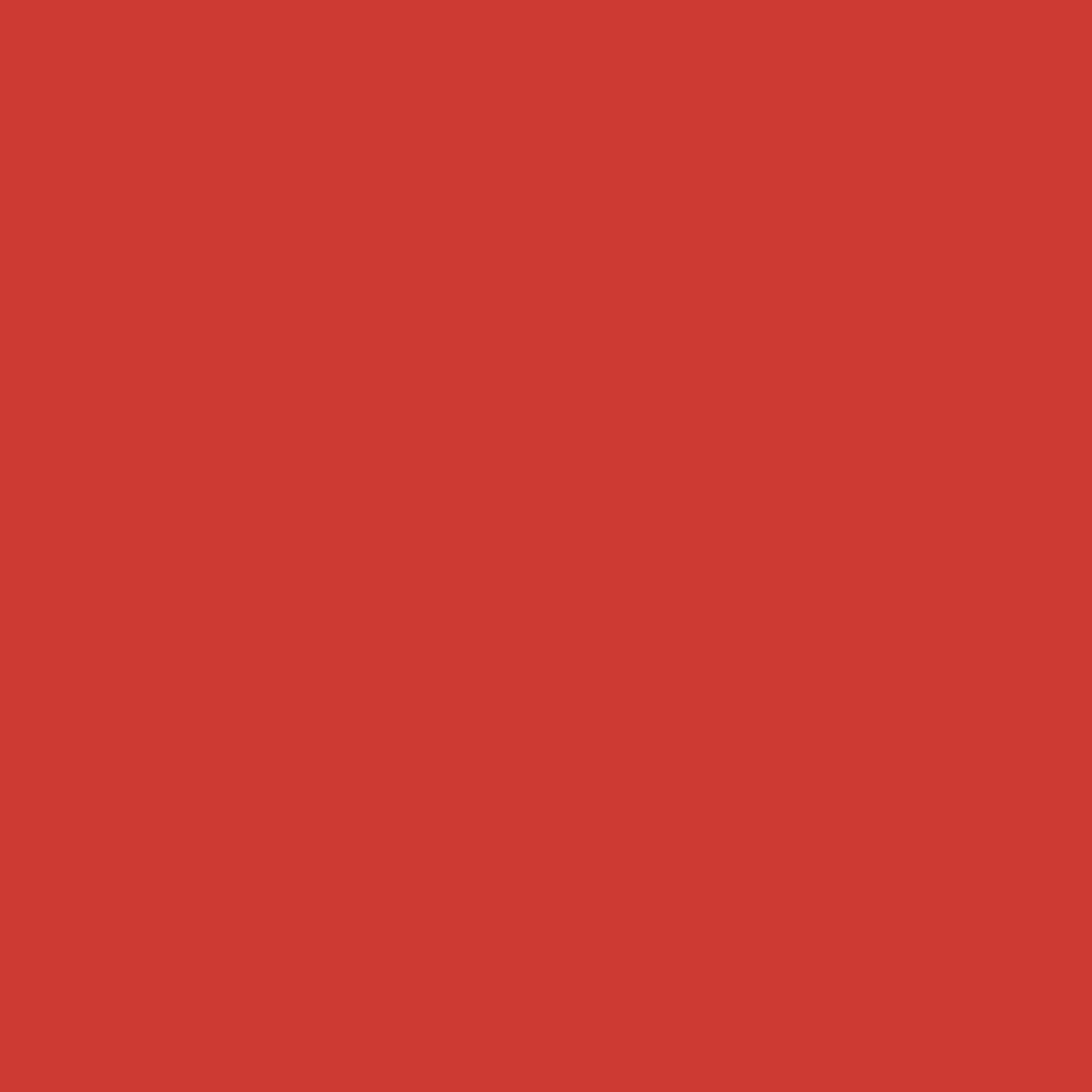 010-Cadence Acryl Pro Art Vermillion