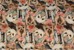 french terry eko -  GULLIGA HUNDAR