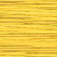 Farge 5009- Cosmo Seasons Variegated Embroidery Floss