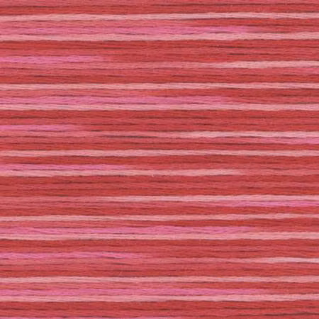 Farge 5002- Cosmo Seasons Variegated Embroidery Floss