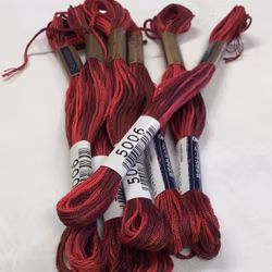 Farge 5006-Cosmo Seasons Variegated Embroidery Floss