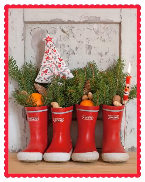 Acufactum-Desemberglede