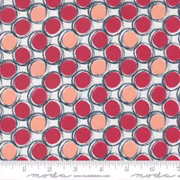 The Lookout -Raspberry