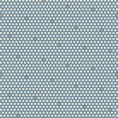 Blue Escape- Snowshoe Polka