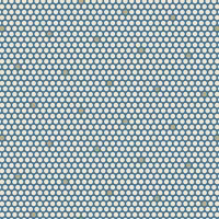 Blue Escape- Snowshoe Polka