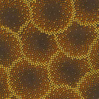 Autumn Fields-Valnøtt