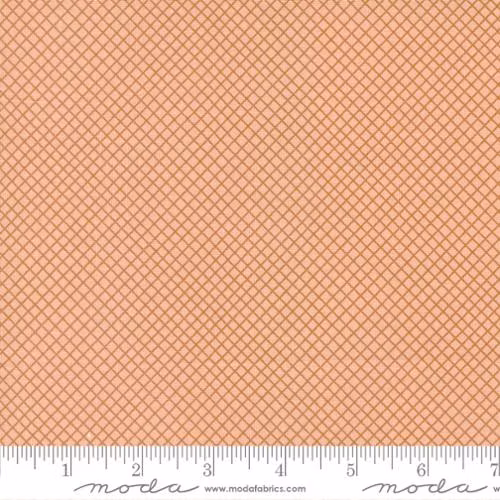 Quaint Cottage Rose-Rosa