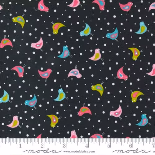 Sweet and Plenty-svart med fargerike fugler