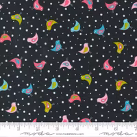 Sweet and Plenty-svart med fargerike fugler